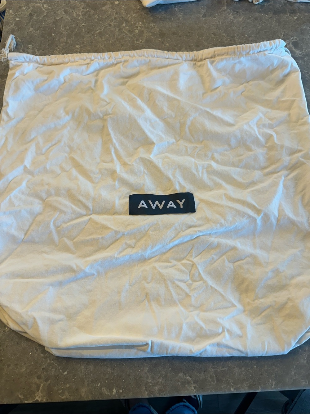 Away Luggage Dust Cover Drawstring 22x22